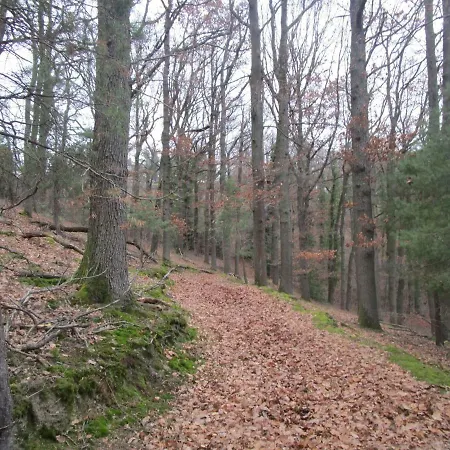 Fouettara 3*