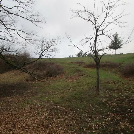 Fouettara * Firminy